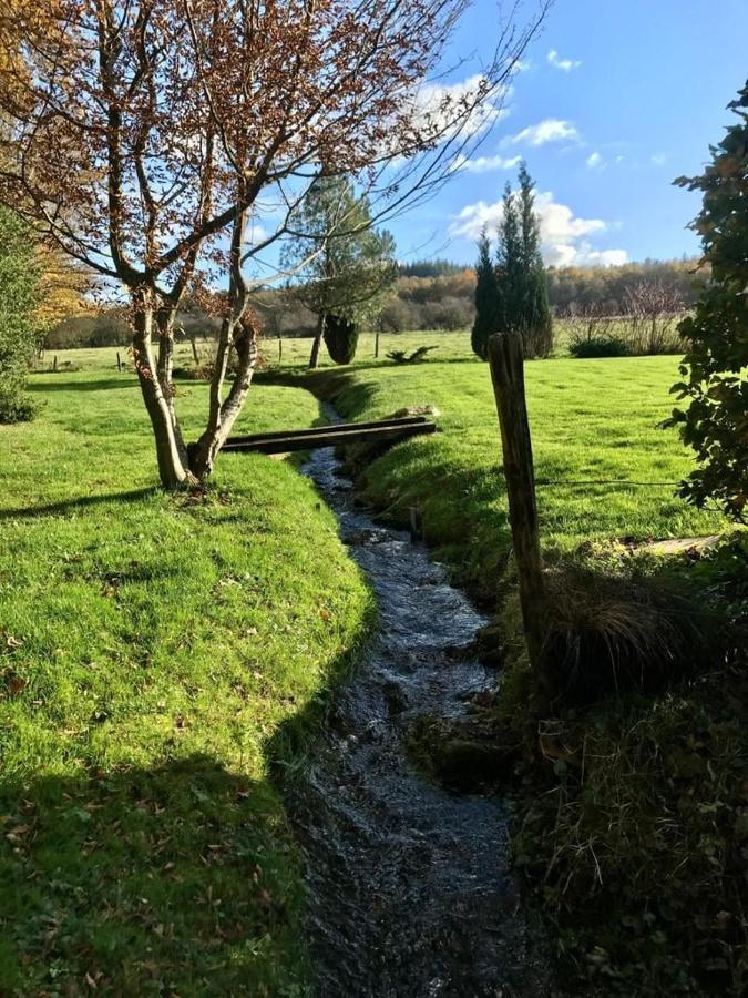 Lovely Meadow House In The Land Of Croix Scaille Gedinne Luaran gambar